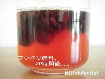 酵母通信＆関西地区のお得情報_a0348473_13021027.jpg