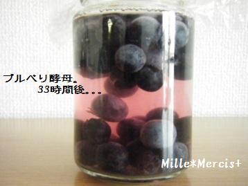酵母通信＆関西地区のお得情報_a0348473_13021063.jpg