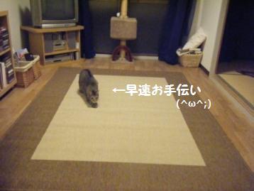 IKEAでお買いもの♪_a0348473_13022593.jpg