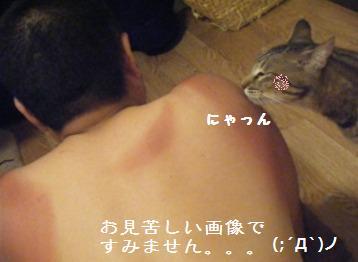 夏の思ひ出( *´艸｀)_a0348473_13024796.jpg