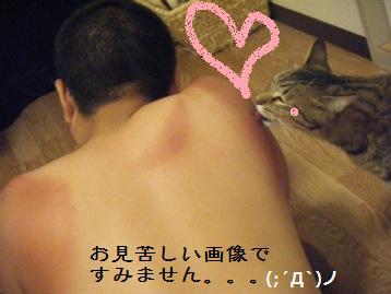 夏の思ひ出( *´艸｀)_a0348473_13024843.jpg