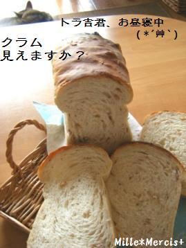 【Coupe Junkies】Tin Bread レッスン2_a0348473_13094410.jpg