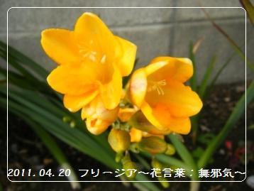 【レシピ】苺＆林檎のローズマリージャム_a0348473_13101397.jpg