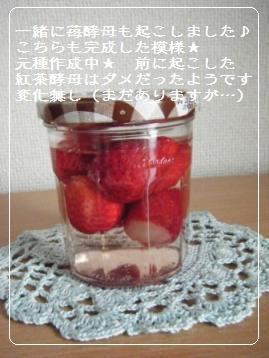 【レシピ】苺＆林檎のローズマリージャム_a0348473_13101446.jpg