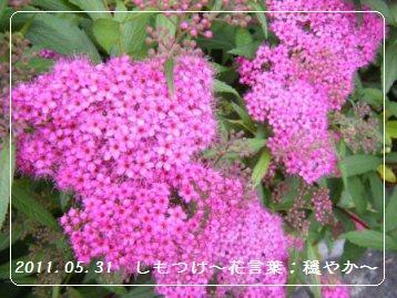 【パンレポ】京都麩屋町通　と　フランソア_a0348473_13111525.jpg