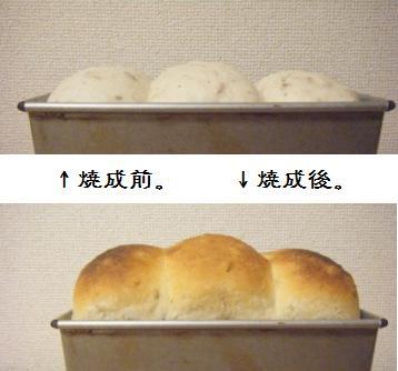 【Coupe Junkies】Tin Bread　レッスン３　酵母編（再）_a0348473_13112605.jpg