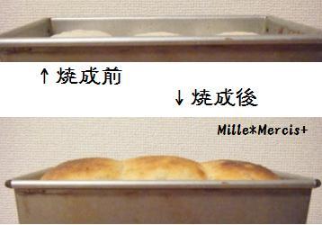 【Coupe Junkies】Tin Bread　レッスン３　酵母編_a0348473_13121904.jpg