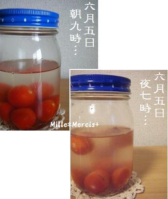 ミニドライトマト作り＆ミニトマト酵母_a0348473_13141292.jpg