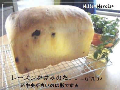 【Coupe Junkies】Tin Bread　レッスン４−１_a0348473_13154812.jpg