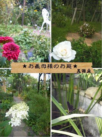 【記録】帰省中の植物のこと_a0348473_13164820.jpg
