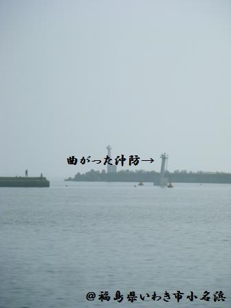 【レポ】小名浜の様子と復興フェア_a0348473_13165668.jpg