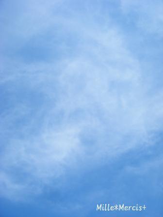 【記録】_a0348473_13173079.jpg