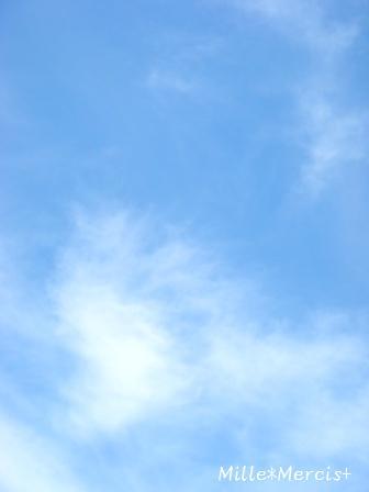 【記録】放射能検査と除染作業の開始_a0348473_13173395.jpg