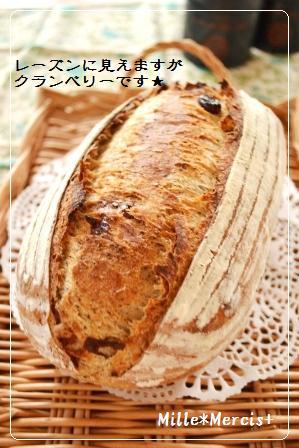 任務完了(笑)と紅茶＆クランベリーカンパ_a0348473_13180501.jpg