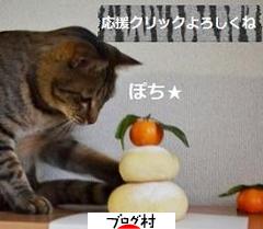 最近、話題のアレといつものヨーグルトケーキが…_a0348473_13212922.jpg