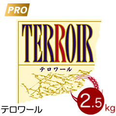 2012初テロワバゲ＠サフ_a0348473_13230312.jpg