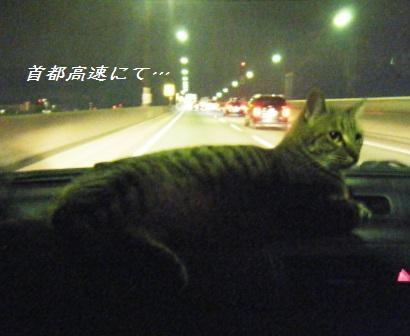 初詣と帰省道中_a0348473_13232955.jpg