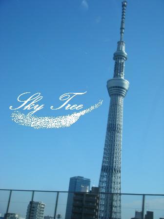 初詣と帰省道中_a0348473_13232961.jpg