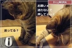 美味しかった！無花果スティックと変わり種ベーグル_a0348473_13235506.jpg