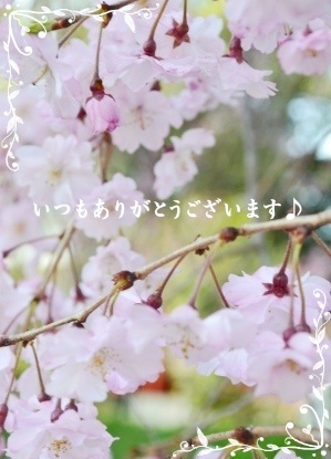 2012.04.20._a0348473_13250859.jpg