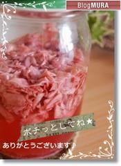 【動画】3度目の薔薇酵母_a0348473_13260396.jpg