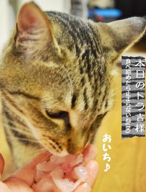 ビッグサイズ★旦那様の釣果!!_a0348473_13275708.jpg