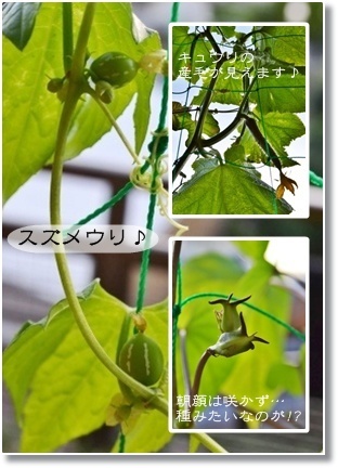 第五十八章　サバサンド_a0348473_13281322.jpg