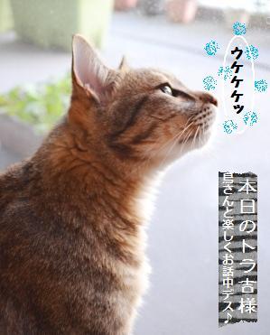 第五十八章　サバサンド_a0348473_13281439.jpg