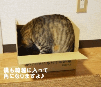 a0348473_13301167.gif