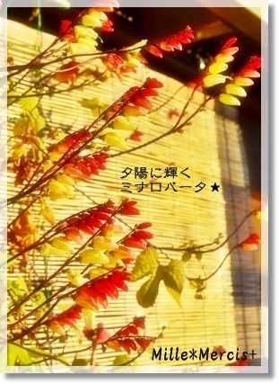 ★焼成温度と窯伸びの件★_a0348473_13335898.jpg