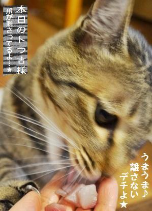 旦那様の釣果&震災後のいわきの海_a0348473_13345349.jpg