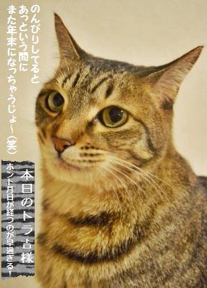 しほさんのホットビスケットとイーストスコーン_a0348473_13351626.jpg
