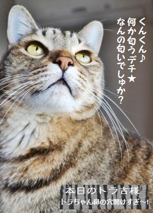 いちご薫るさくらアンパン♪_a0348473_13353439.jpg