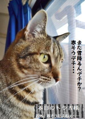 簡単&美味のレモンカードと苺酵母★_a0348473_13355923.jpg