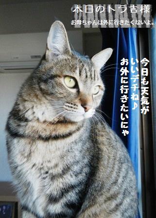 お知らせ＆モバックショウ　～リンク集～_a0348473_13365167.jpg
