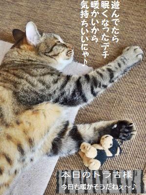 かりかりバナナのキャラメリゼ☆メイプルver_a0348473_13365868.jpg