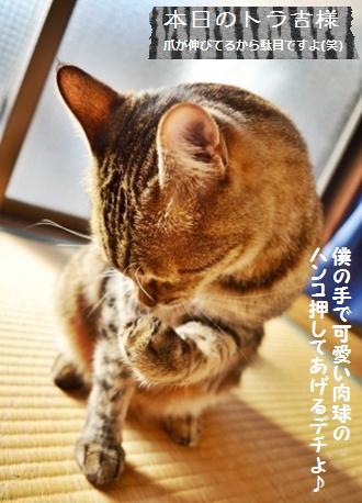 ババコの正体☆くちばしの長い人。。。_a0348473_13374412.jpg