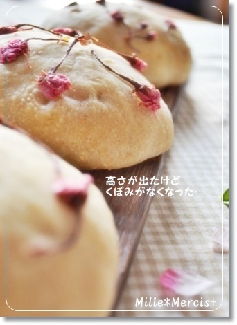 結局、どうなった？さくら酵母パン_a0348473_13374539.jpg