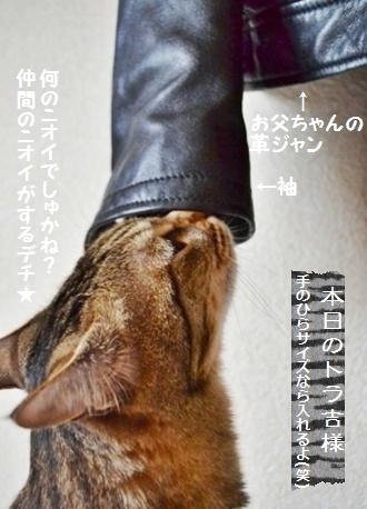 甘食？手のひらサイズnaプチ・コンプレ_a0348473_13375079.jpg