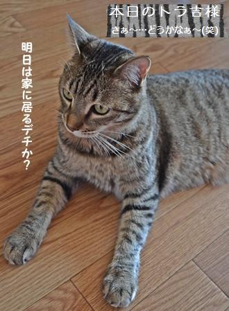 【画像多し】中之島とパンケーキの秘訣?_a0348473_13382159.jpg