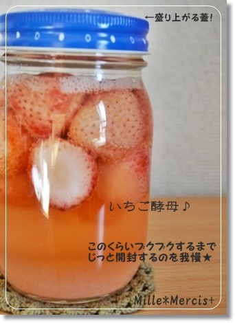 ウエダ家方式deいちご酵母ついでにレーズン酵母_a0348473_13383889.jpg