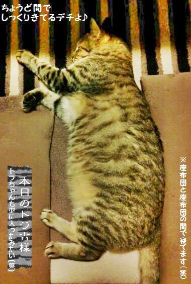 大失敗したプルーンピューレ初パンの大変身♪_a0348473_13410583.jpg