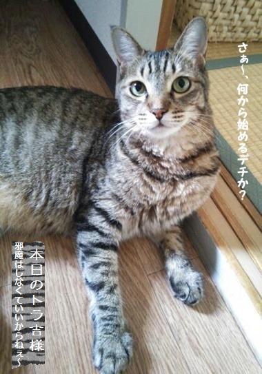 うわさの？食パンと【パン酵母】って？？？_a0348473_13411334.jpg