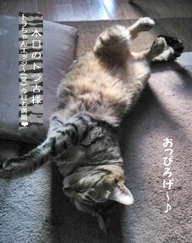 お盆明け～リハビリバゲは、はる恋×あこ酵母で♪_a0348473_13412288.jpg