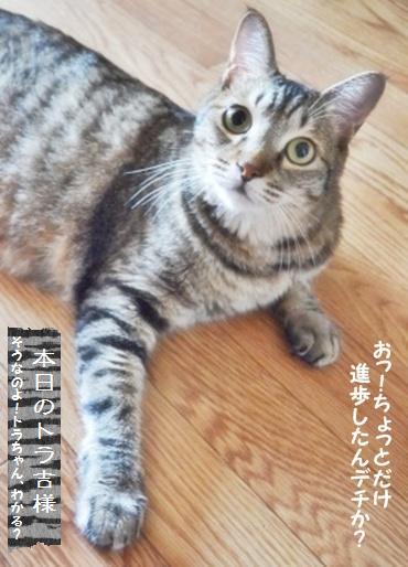 ぷっくり☆フワむぎゅっマンゴー酵母ベーグル_a0348473_13413909.jpg