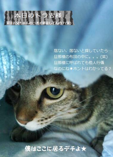 大人気ベーグルと初めての紅麹アンパン＆ライ麦パン_a0348473_13415692.jpg