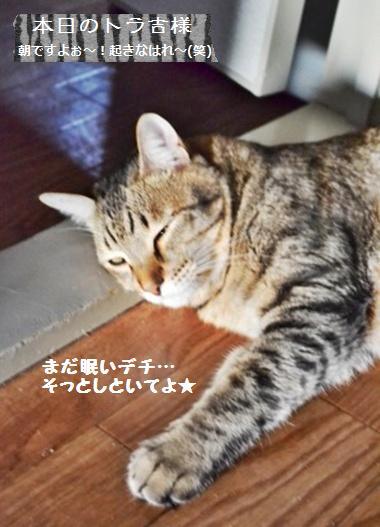 大人気☆なし酵母deビスコッティ_a0348473_13420215.jpg