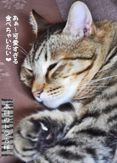 酒種ピタパン☆柿とラディッシュのサラダ_a0348473_13420528.jpg