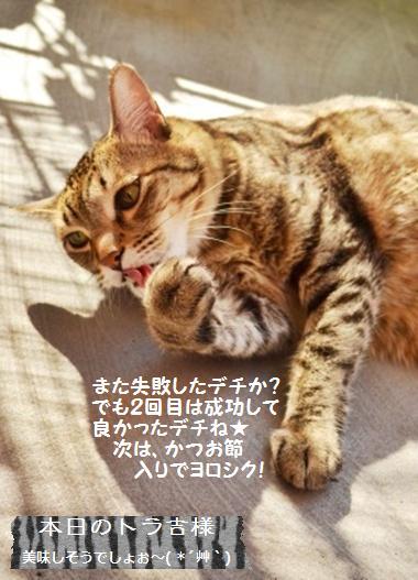 太白胡麻油deさわやかヨーグルトケーキ【レシピ】_a0348473_13420733.jpg