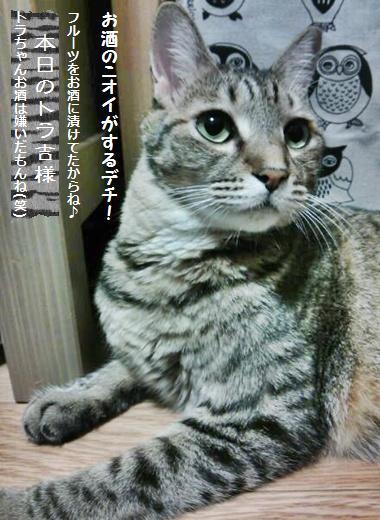 加水100％パネトーネ…こんなにデロデロなのに！_a0348473_13422131.jpg